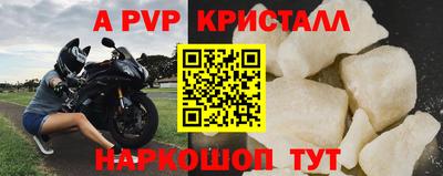 прущие крисы Кингисепп