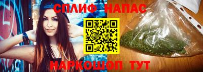 прущие крисы Кингисепп