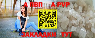 прущие крисы Кингисепп