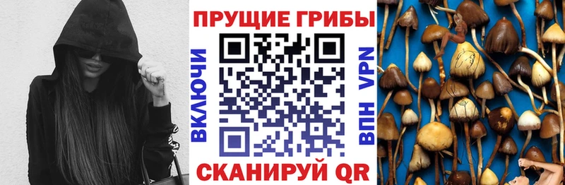 Псилоцибиновые грибы Magic Shrooms  kraken ссылки  Солнечногорск 