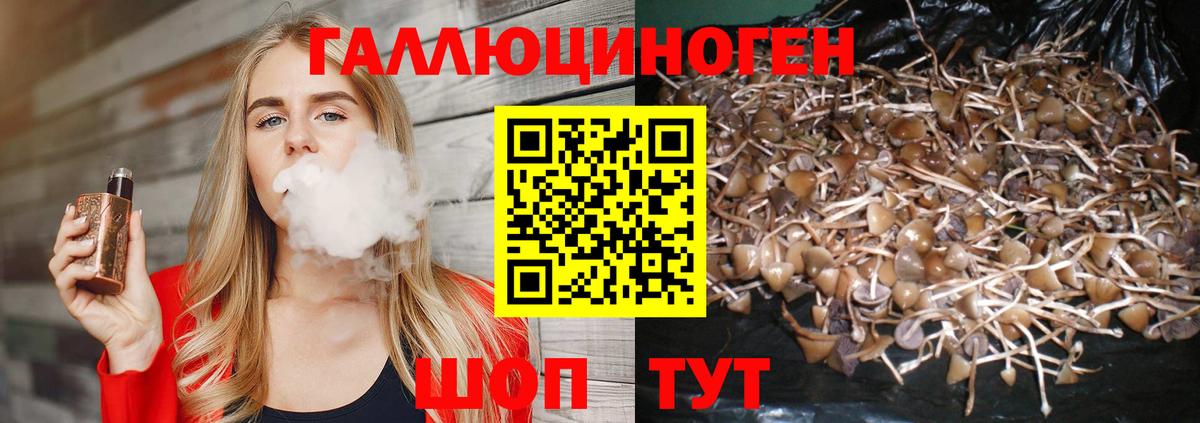 Псилоцибиновые грибы MAGIC MUSHROOMS Солнечногорск